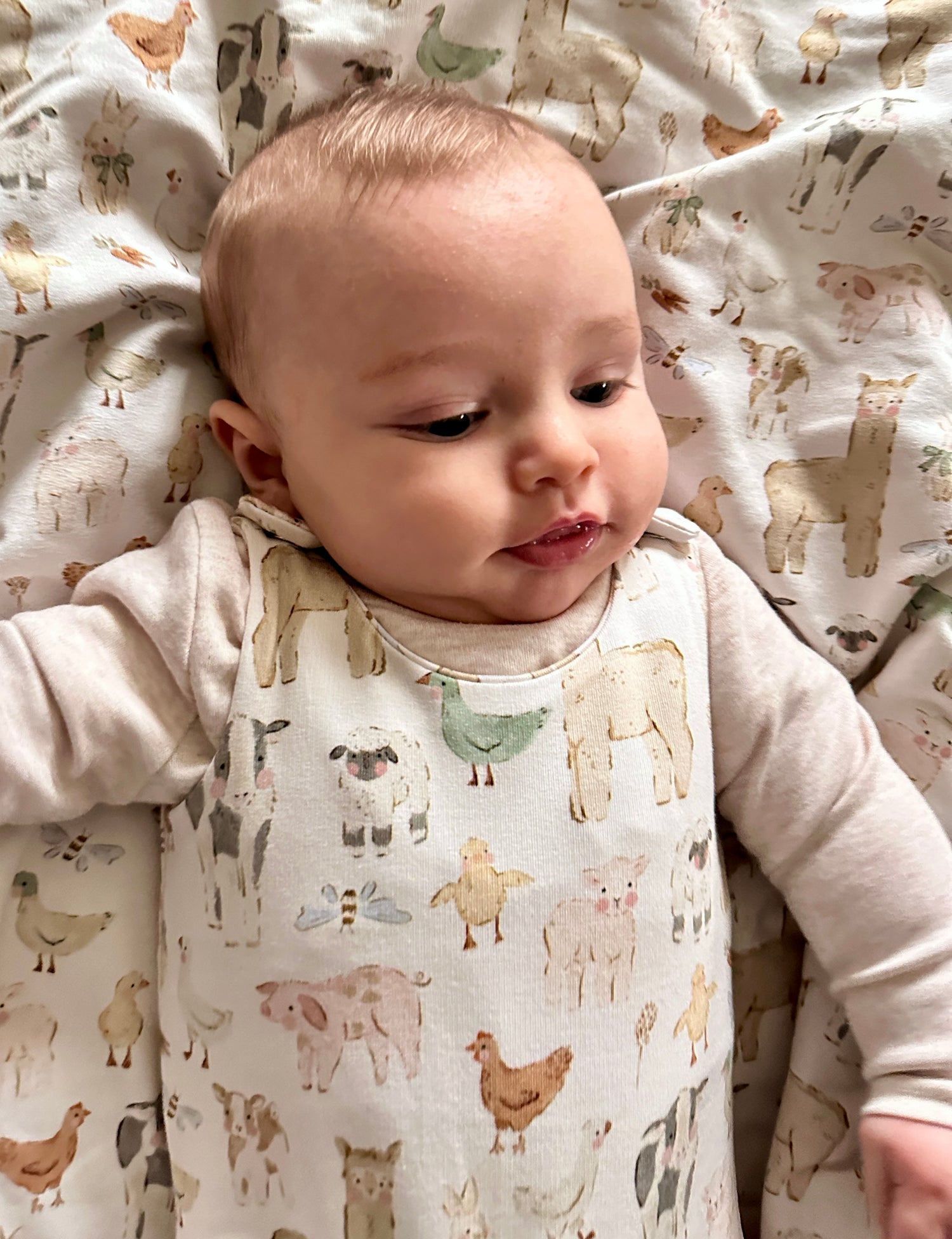 Farmyard Friends Romper